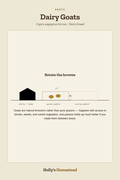 Dairy Goats diagram — Animal Guide from Holly's Homestead