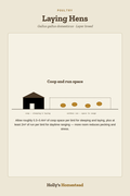 Diagram from the Laying Hens animal guide