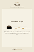 Quail diagram — Animal Guide from Holly's Homestead