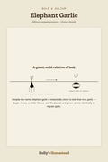 Elephant Garlic diagram — Grow Guide from Holly's Homestead