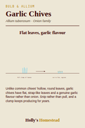 Garlic Chives diagram — Grow Guide from Holly's Homestead