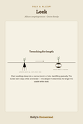 Leek diagram — Grow Guide from Holly's Homestead
