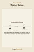 Spring Onion diagram — Grow Guide from Holly's Homestead