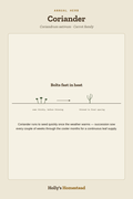 Coriander diagram — Grow Guide from Holly's Homestead