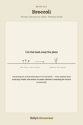 Broccoli diagram — Grow Guide from Holly's Homestead