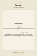 Lemon diagram — Grow Guide from Holly's Homestead