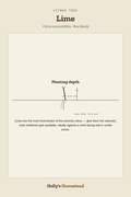 Lime diagram — Grow Guide from Holly's Homestead