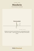Mandarin diagram — Grow Guide from Holly's Homestead
