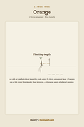 Orange diagram — Grow Guide from Holly's Homestead
