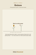 Quinoa diagram — Grow Guide from Holly's Homestead