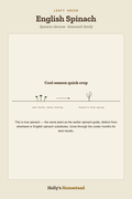 English Spinach diagram — Grow Guide from Holly's Homestead