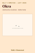 Okra diagram — Grow Guide from Holly's Homestead