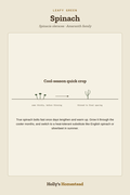 Spinach diagram — Grow Guide from Holly's Homestead