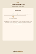 Cannellini Beans diagram — Grow Guide from Holly's Homestead