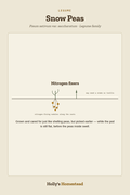 Snow Peas diagram — Grow Guide from Holly's Homestead