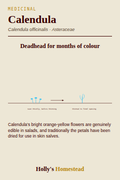 Calendula diagram — Grow Guide from Holly's Homestead