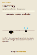 Comfrey diagram — Grow Guide from Holly's Homestead