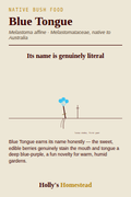 Blue Tongue diagram — Grow Guide from Holly's Homestead