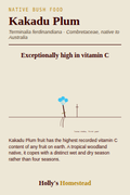 Kakadu Plum diagram — Grow Guide from Holly's Homestead