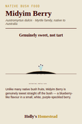 Midyim Berry diagram — Grow Guide from Holly's Homestead