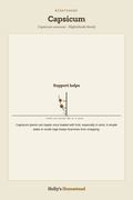 Capsicum diagram — Grow Guide from Holly's Homestead