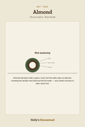 Almond diagram — Grow Guide from Holly's Homestead