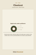 Chestnut diagram — Grow Guide from Holly's Homestead