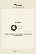 Walnut diagram — Grow Guide from Holly's Homestead