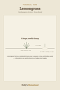 Lemongrass diagram — Grow Guide from Holly's Homestead