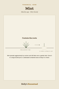 Mint diagram — Grow Guide from Holly's Homestead