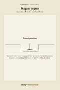 Asparagus diagram — Grow Guide from Holly's Homestead