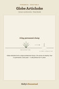 Globe Artichoke diagram — Grow Guide from Holly's Homestead