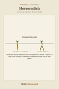Horseradish diagram — Grow Guide from Holly's Homestead