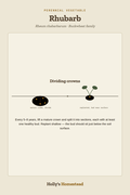 Rhubarb diagram — Grow Guide from Holly's Homestead