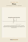 Plum diagram — Grow Guide from Holly's Homestead