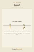 Carrot diagram — Grow Guide from Holly's Homestead