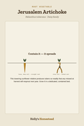 Jerusalem Artichoke diagram — Grow Guide from Holly's Homestead