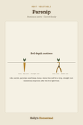 Parsnip diagram — Grow Guide from Holly's Homestead