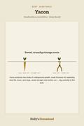 Yacon diagram — Grow Guide from Holly's Homestead