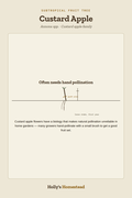 Custard Apple diagram — Grow Guide from Holly's Homestead