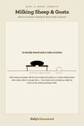 Milking Sheep & Goats diagram — How-To Guide from Holly's Homestead