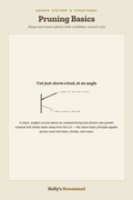Pruning Basics diagram — How-To Guide from Holly's Homestead
