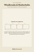 Windbreaks & Shelterbelts diagram — How-To Guide from Holly's Homestead