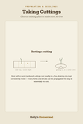 Taking Cuttings diagram — How-To Guide from Holly's Homestead